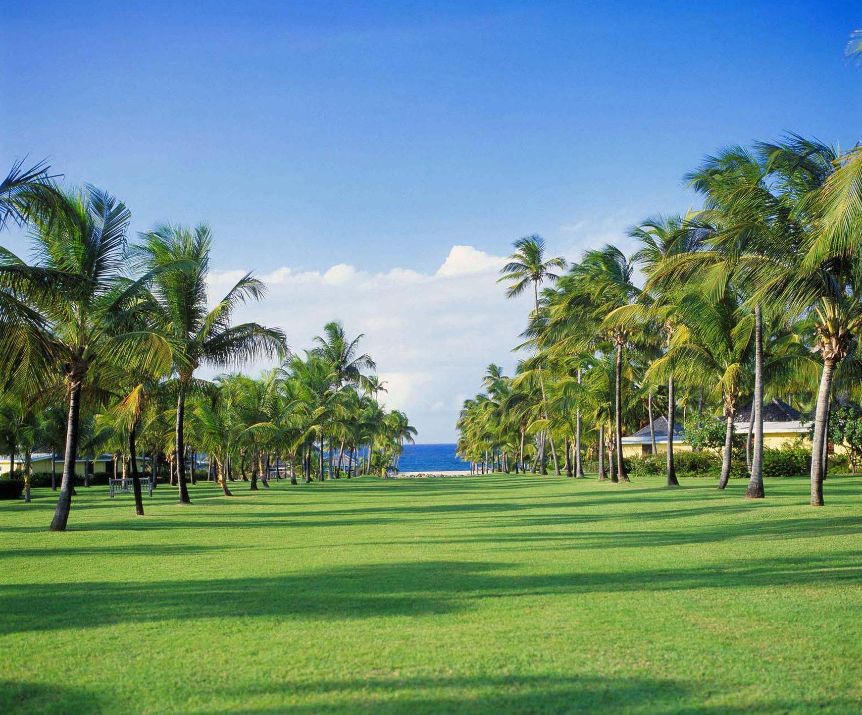 Nisbet Plantation Beach Club Newcastle Екстер'єр фото