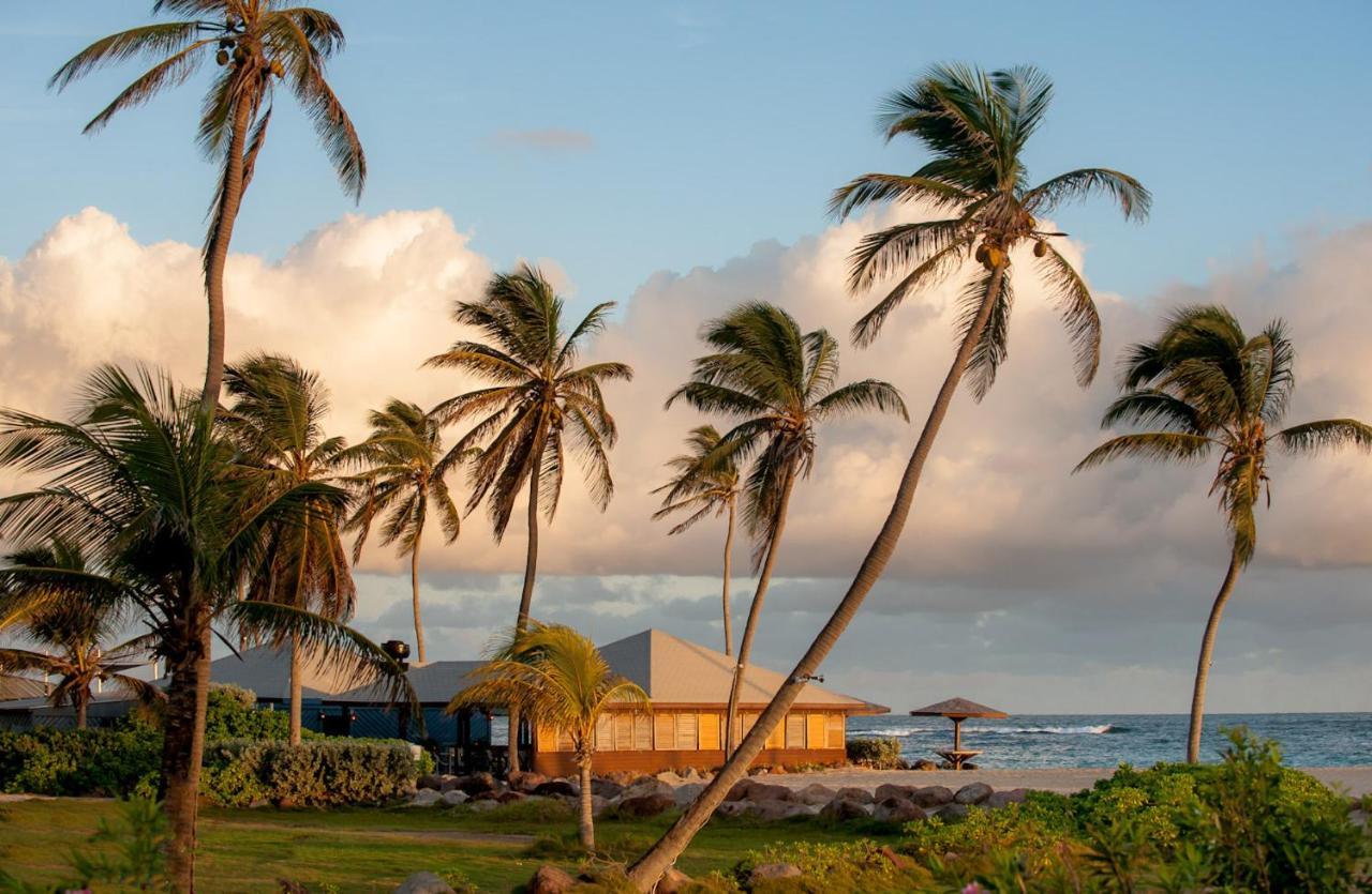 Nisbet Plantation Beach Club Newcastle Екстер'єр фото